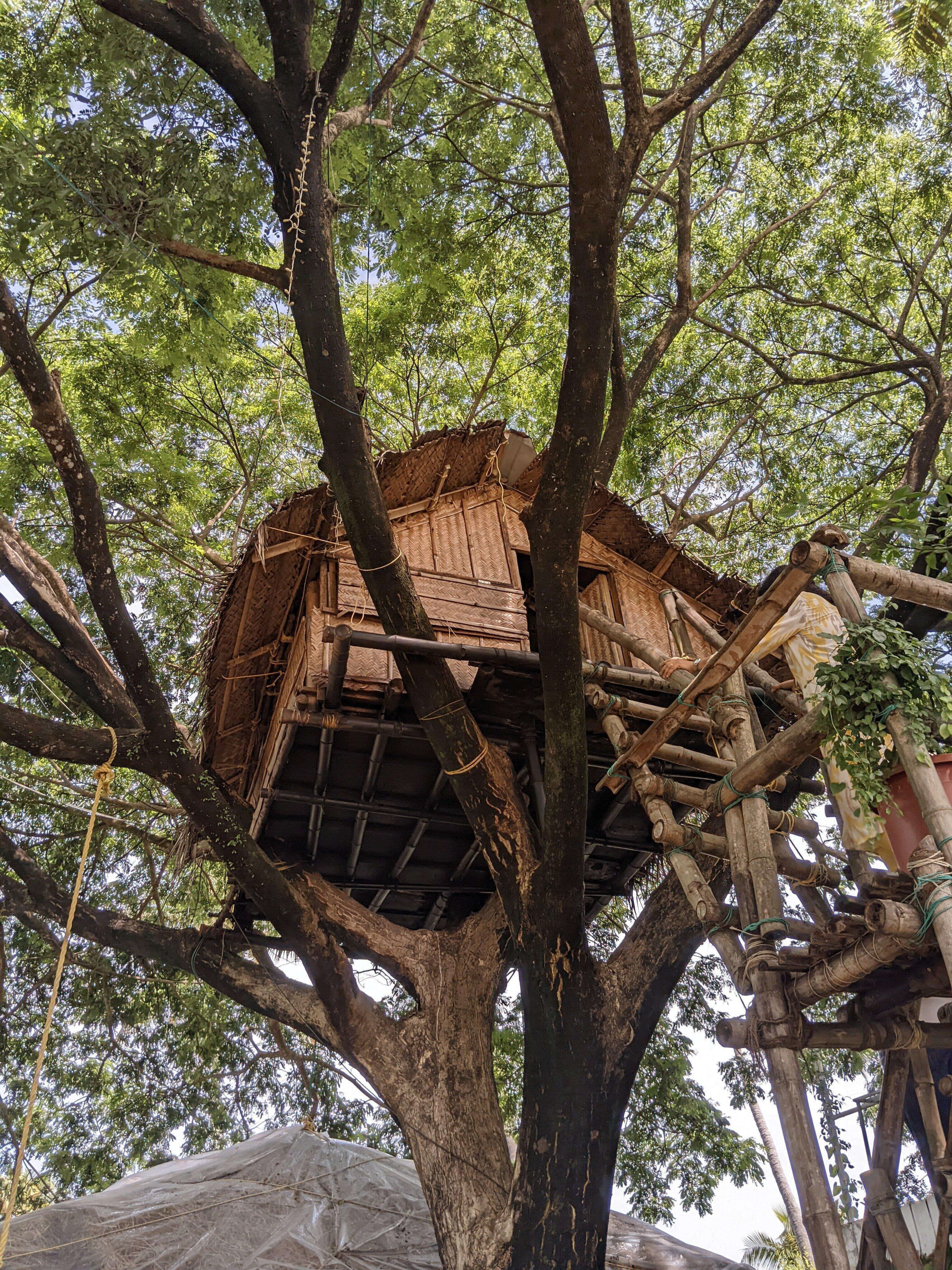 a treehouse